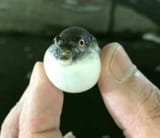 1751030831770