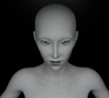 Screenshot 2025-07-05 192613