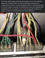 1751762931838337.jpg