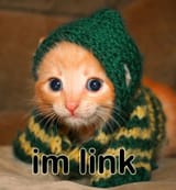 im link