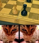 1748006059011383
