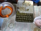 Bhang_(4381292529)