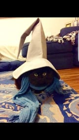 final fantasy kitty