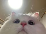 1703607012871772