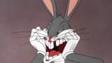 bugsface