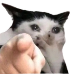 1725743600522030
