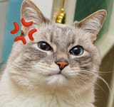 1731719125047225