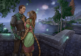 imperial_and_khajiit_by_sandstell8_dg5f957-fullview