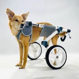 HatueWheels_Wheelchair_ShopifyProductPhoto_2048x