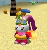 chao summer fun accessories