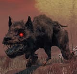 tyrannodogus