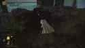 Elden Ring 2024.08.05 - 17.29.16.09.DVR_thumb.jpg