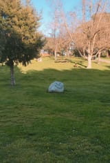 Devilish rock1