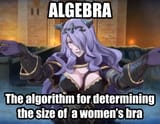 camillacupsizealgebra
