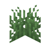 grass