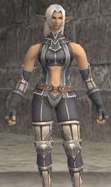 F-Elvaan-F-Chausses