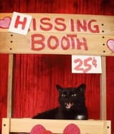 hissing booth