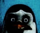 1731883602028178