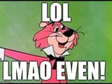 Gay pink panther 