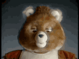 bears-teddy