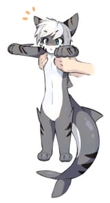 longsharkisloooooooong