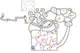 All map
