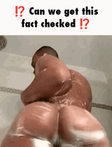 factchecker