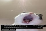 1738523018686658
