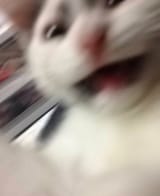 1746595636525940