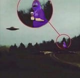 the dumpy is out there