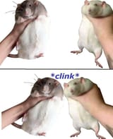 1670353283017885