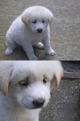sad