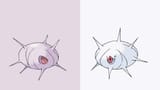 cascoon-silcoon-pink-white-background-d5qyoq8njz7ixahh