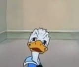 duck man