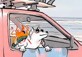 ammy
