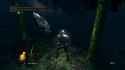 ds1 ai_thumb.jpg