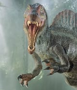spino