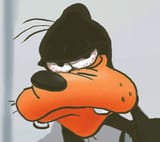 gawrsh