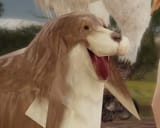 ff13-3 dog