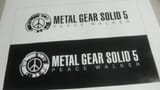 MGS5