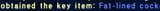 obtained key item fat lined c---