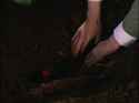 1670478377351_thumb.jpg