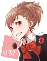 FeMC