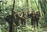 36us-soldiers-on-patrol-in-a-bamboo-jungle-during-the-vietnam-war.-pintrest-3237665775