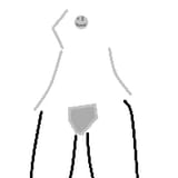 Q T