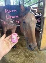Haru-Uraras-Surprising-New-Life-Visit-If-You-Dare-—-660x902