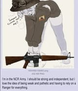 NVTranny