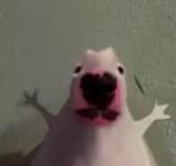 1613978795769