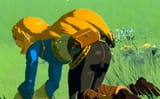 zelda