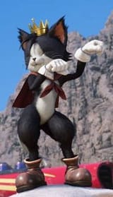 thicccat